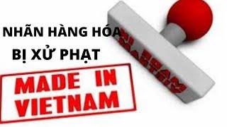 VÌ SAO BỊ PHẠT VÌ NHÃN HÀNG HÓA NHẬP KHẨU - XUẤT KHẨU ???