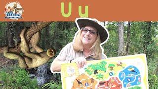 Learn about the Letter U and Unaus | Zoo Crew Alphabet Show EP:21