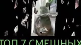 ТОП 7 СМЕШНЫХ ЛЯГУШЕК!!! :-)