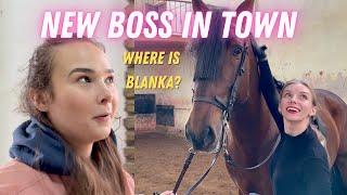 Den Stall ohne Blanka leiten! - Blanka Satora Horse Show Vlog