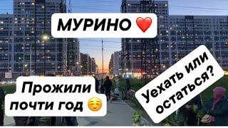 МУРИНО ️! Прожили почти год! Уехать или остаться?