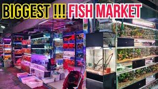 FISH MARKET THE BIGGEST IN THE WORLD !!! PASAR IKAN HIAS DAN IKAN PREDATOR - GUANGZHOU CHINA