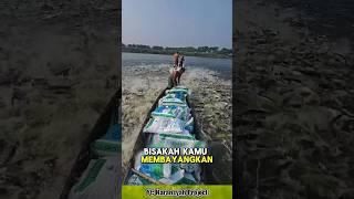 Aksi Gila di Sungai! Satu Perahu Bisa Bikin Ikan Ngamuk  #faktaunik #faktamenarik