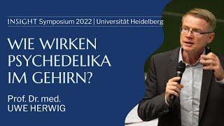 Neurobiologie: Wie wirken Psychedelika im Gehirn? - Prof. Dr. Dr. med. Uwe Herwig