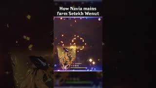 HOW NAVIA MAINS FARM SETEKH WENUT