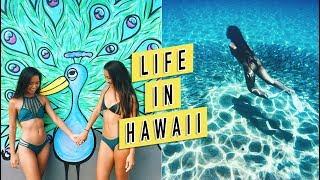 VLOG #10 | Snorkeling, Sunrises, & Celebrations! | Michelle Kanemitsu