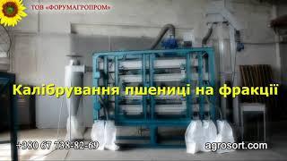 Підготовка посівного матеріалу пшениці / Preparation of wheat seed material