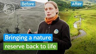 Helping nature restore itself - Bringing a river back to life | RSPB