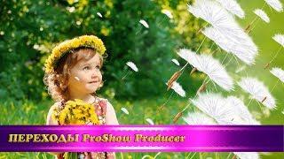 Переходы для ProShow Producer "Одуванчики"/Free ProShow Producer transitions "Dandelions"