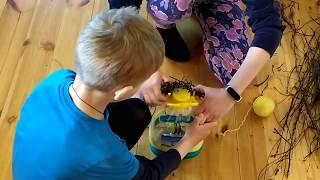 Пчелки из киндеров и улей из бутылки. Поделки с детьми. Crafts with kids. Kinder bees.