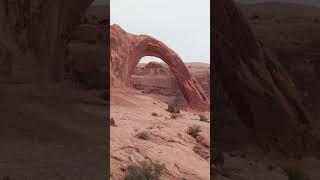 Unveiling American Cultural Icons: National Parks #shorts