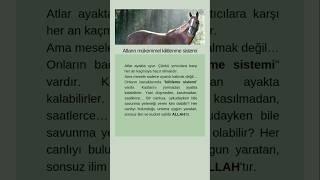 Atların mükemmel kilitlenme sistemi #atlar #tefekkür #hayvanlaralemi #shorts #ilginç #bilgiler