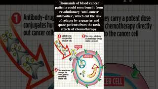Blood Cancer patients could Benefit from Revolutionary 'Anti-cancer Antibodies’ - POLIVY   #shorts