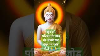 #budham sharnam gachhami#short#motivation#shortvideo#jaybhim#jaisanvidhan#music#buddha#gautambuddha