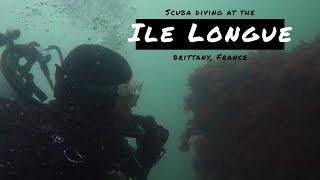 Long Island Scuba diving | Crazydivers