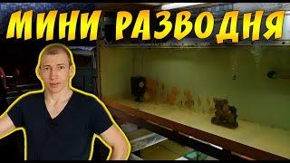 ОБЗОР МАЛЕНЬКОЙ РАЗВОДНИ СЕРЕГИ ХАРЬКОВ!