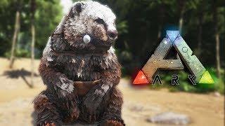 ARK разведение птеров и РЕКСОВ ! Как обеспечить себя МЕДОМ ! СВИРЕПЫЙ МЕДВЕДЬ в АРК #18