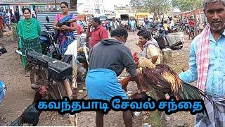 இந்தவாரம்  கவுந்தப்பாடி சேவல் சந்தை / kavindapadi sandhai / seval market in erode