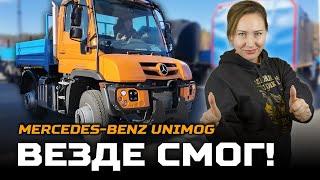 Везде смог! Mercedes-Benz Unimog