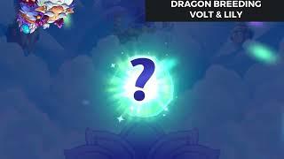 Merge Dragons | Dragon Breeding With Volt & Lily Dragons