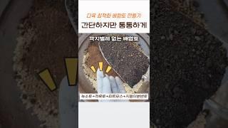 다육 배수 잘되고 통통하게 만드는 배합토《다육식물》손옹기화분