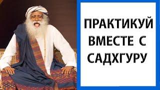 Садхгуру | Мощный процесс для повышения иммунитета и выносливости легких [Simha Kriya]