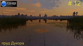 # 12. пруд Дукора. Путь к серебряному кубку ч.5: страдания по краснопёрке. Прохождение Fisher Online