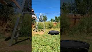 Dog uses trampoline! #dogsofyoutube #funnydogs