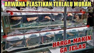  LAPAK ARW4NA TERLENGKAP‼️ UPDATE HARGA TERBARU 4NAKAN ARW4NA TERMURAH HENDRA PASAR IKAN JATINEGARA