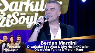 Berdan Mardini - Diyarbakır Şad Akar & Diyarbakır Küçeleri & Diyarbakır Yoluna & Mardin Kapı