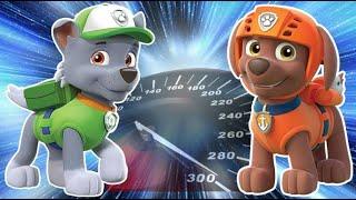 PAW Patrol: Who is faster, Rocky or Zuma?  (Щенячий патруль: Кто быстрее, Рокки или Зума?)