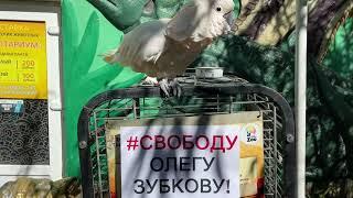 5 дней до апелляции! #СВОБОДУ ОЛЕГУ ЗУБКОВУ!