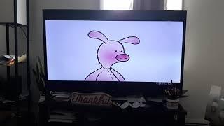 Wibly Pig on Qubo (December 17, 20(17)20)