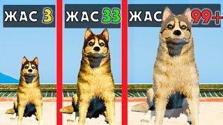 99 ЖАСТАҒЫ РЕКС (GTA V)