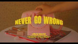 Nicky Youre, david hugo - Never Go Wrong