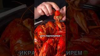 ИКРА ПОД ПАНЦИРЕМ #рыбец64 #раки #доставкаеды