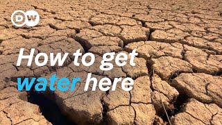 A Genius Solution for Water Scarcity | DW Documentary