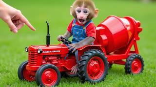 Monkey Nana drove her tractor angrily , determined to protect her vegetable field from the ducklings