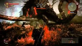 The Witcher 2: Assassins of Kings - Kayran Boss Fight [DARK DIFFICULTY]