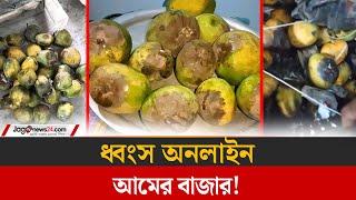 কুরিয়ারের গাফিলতিতে ধ্বংস অনলাইন আমের বাজার | Mango market | Jago News