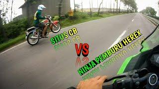 SITUS CB  NINJA PEMBURU HEREX