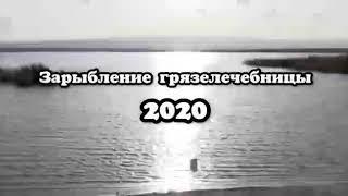 Зарыбление грязелечебницы 2020. Тараз Казахстан