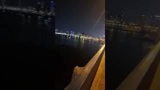 Famous fishing spot in Dubai UAE #fishing #fish #dubai #shorts #viralshorts