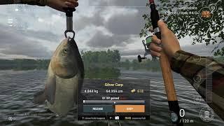 Fishing Planet. Ловля толстолобика и карпа. Озеро Зандер Баггер.