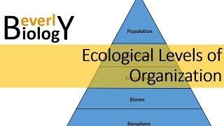 Ecological Levels of Organization