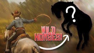 RDR2 Roleplay....but we catch wild horses