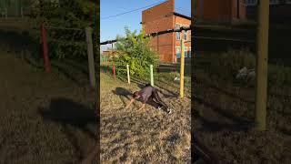 Parkour