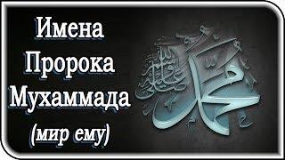 15 прекрасных имен Пророка Мухаммада (мир ему), о которых вы еще не знали