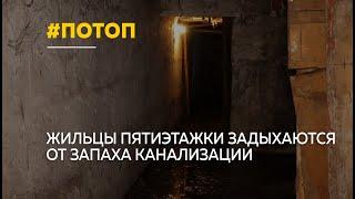 Жильцы барнаульской пятиэтажки пожаловались на затопленный фекалиями подвал