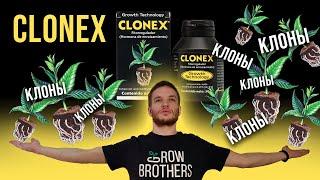 Как черенковать растения? Как клонировать петунии CLONEX Growth Technology #clonex